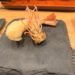 さいたま市　天ぷら周平　揚げたてをカウンターで食べられるよ